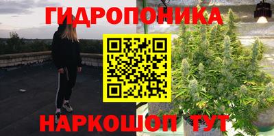 сатива Рыбинск