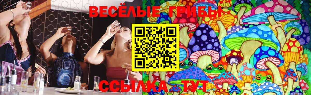 Псилоцибиновые грибы ЛСД  Вход с VPN  Невинномысск 