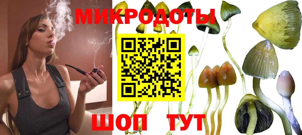 Галлюциногенные грибы Psilocybine cubensis Невинномысск